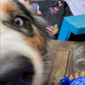 Meet your Posher, Craig